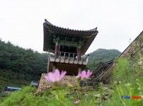 고견사.jpg