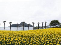 전경 복사.jpg