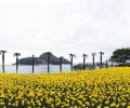 전경 복사.jpg