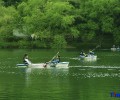 _KHJ0656.jpg
